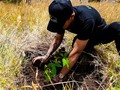 Hace unos días plante a Jerónimo 🌱  Hey chicos, me contaron que uno debe plantar por lo menos 1 árbol 🌳 al año, pues aquí voy con el de este. Hace unos días estuve con un gran equipo @sanautos_renault @contreebute plantamos 1.000 arbolitos, siendo el primer concesionario en Colombia en tener esta iniciativa en pro de ayudar al sostenimiento del medio ambiente, el cuidado del mismo es responsabilidad de todos 👊🏼 ¿Y tú que esperas? #UneteAlMovimiento #YoPlantoUnArbol ✌🏼