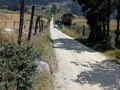 Un día fuera de lo habitual explorando con la bici de ruta en el destapado futuras paredes para llevar la de montaña.🚵‍♂️ #mtb  #colombia  #cycling  #ciclismo  #nature