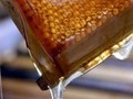 Venta de miel 100% pura el kilo en $150