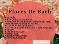 Una de las características de las Flores de Bach es que tratan directamente las emociones y hay esencias para diversos estados anímicos: para el sentimiento de culpa, diferentes tipos de miedos, para el orgullo, exceso de sensibilidad, ansiedad, agotamiento mental, falta de amor propio, etc. Las esencias no luchan contra las emociones "negativas", sino que desarrollan la emoción contraria: donde hay enojo ponen amor, donde hay orgullo ponen humildad, donde hay miedo ponen valentía, donde hay dolor ponen aceptación y paz, donde hay intolerancia ponen comprensión, de esa manera actúan las flores.  Terapia con flores de Bach  #floresdebach #noraarellanoy