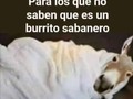 Buenas tardes 🤣🤣🤭🤭🤭