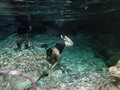Una de las mejores experiencias que hemos podido tener 🐠🇲🇽 amantes del agua 💯 #snorkeling #Cenote #aktunchen #Quintanaroo #mexico #PlayaDelCarmen #Peces #buceo #Partnerincrime