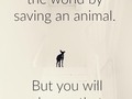 #you #wouldn #change #theword #saving #ananimal #animal #but #youwill #govegan #goveganfortheanimals💚🐷🐮🐣🐖🐗🐰🐔🐟🐬🐋🐵🐐🐏💚 #govegan🌱
