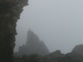Foggy Morning by the tidepools at the ocean