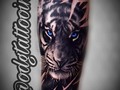 New tattoo del día tigre en realismo black and grey . . . .#realismotattoo  #blackandgreytattoo  #tigretattoo #venezuelatattoo🇻🇪🇻🇪🇻🇪 #odgtattooink
