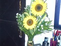 Gracias por mis flores. Los girasoles siempre me sacan sonrisas @senrag