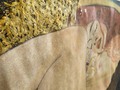 Mi representación en pasteles de Dánae de Gustav Klimt 👩‍🎨 50x35 Tizas pastel, lapices de colores y tempera escolar sobre papel craft. ⚡  Dánae es un cuadro al óleo del pintor austriaco Gustav Klimt creado entre 1907 y 1908. Según el mito, mientras estaba prisionera de su padre Acrisio (el rey de Argos), en una torre de bronce, Dánae fue visitada por Zeus y fertilizada en la forma de una lluvia de oro. En el cuadro de Klimt, este hecho es representado por el torrente dorado que fluye entre sus piernas. Toda la composición de esta pintura se pone al servicio de la sexualidad femenina. Los contornos redondos y los adornos de pan de oro (PDTA: Yo usé tempera dorada escolar) enfatizan su experiencia sexual, una vez más reforzada por la perspectiva distorsionada del cuerpo, con sus exuberantes muslos.  De la expresión de su cara, con la boca entreabierta, se desprende que está excitada por esa corriente de oro. En esta obra, Dánae está enroscada en un velo púrpura real que hace referencia a su linaje imperial [...]​ Algún tiempo después de la visita celestial, Dánae dio a luz a un hijo, Perseo, que es citado más tarde en la mitología griega por haber matado a la gorgona Medusa y rescatado a Andrómeda.  #klimt #gustavklimt #danae #portraitpainting #artofvisuals #artdaily #artgallery #studio #study #artistsoninstagram #instaart #art #artwork #artoftheday pasteles #tizapastel #tizaspastel #art #arte #drawing #artblogvk #instaart #chalkpastel #realisticdrawing #realistic #diseñadorescolombia