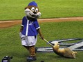 Será para la próxima… Licey Campeón 🇩🇴 Simplemente #OnlyBeisbol #beisbol #baseball #venezuela #puertorico #republicadominicana #majorleague #majorleaguebaseball #grandesligas #peloteros #mlb #latinos #latinoamerica #seriedelcaribe #panama