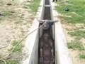 Pana no se vaya por allá que no han terminado de tapar el cañ…