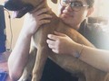 🐶♥️Great Tyrion