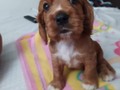 Romeo no me mires asi😍