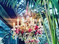 Delightful experience immersed in a magical garden for Valentines Day - delicious food and perfect ambiance #valentinesdate #nomnom #atlantastyle #atlantafun #thegardenroomatlanta