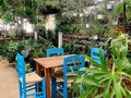 Delightful experience - plants and coffee, beautiful oasis #valledebravo #coffeelover #plantslover