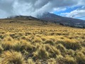 Parque Nacional Popó-Izta, y pasó de cortes . Belleza volcánica, paisajes surreales y vientos helados . #amolosvolcanes #popocatepetl #pasodecortes