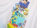 #cake #pawpatrol  . Feliz casi fin de semana 🎉🥳🎉🎉🎉 . PRECIO Y ESPECIFICACIONES DEL CAKE EN @oh_amazing_cake  . #cakelove #cakedesign #cakelovers #cake #cakepawpatrol