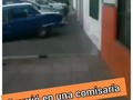 pablolayus:Cansada de todo entro a una comisaría y expuso a los policías !!