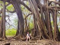 Somos pequeños, somos realmente vulnerables, no tenemos como defendernos ante la furia de la naturaleza y aún así, tenemos el coraje de atentar contra ella, la desafiamos como si no fuera más que una pequeña bola de cristal en nuestras manos, debemos tomar conciencia y dar más respeto a el medio que nos da todo, que nos permite estar aquí, que nos abraza y nos cuida.