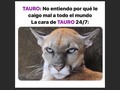 Subí esta imagen a las stories de insta y me alegra tanto saber que la gente nota lo mucho que he cambiado.
