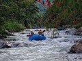 Rafting actividad para ti! #rafting #jarabacoa #adrenalina #francisrussell