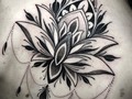 ⚫️⚫️⚫️ One of the tattoos I made in my visit to @inklabs the last week... For booking pastorellitattoo@gmail.com • • • #darkornaments #lotus #lotusmandala #blxckink #formink #blackworkerssubmission #blackworkers #dotwork #dotworkers #blackwork #tttism #btattooing #darkartists #onlyblackart #onlythedarkest #spaintattoo #teaminklabs #inklabs #madridtattoo #dresdentattoo #tattoogermany #germantattooers #geometrip #geometrychaos #omfgeometry #mandalatattoo #sacredgeometry #onlyblackwork #blackmandala #onlyblackink