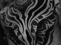 ⚫️⚫️⚫️ Asi va el pecho de mi bro @escalantetattoos luego de la ultima sesión que hicimos en @sailorsnmermaids en mi ultima visita a Medellin…. Pronto vamos por mas!  • @rawpigments @cartielneedles @tktxnumbofficial @protonstencillatam  • • • #chesttattoo #necktattoo #mandala #blackwork #blackworkers #dotwork #dotworkers #blackworkers_tattoo #geometrip #ornamentalika #darkornaments #onlyblackart #onlythedarkest #blacktattoo #monochrome #madridtattoo #tattoomadrid #tatuadoresdevenezuela #tattoospain #spaintattoo #tttsim #txttoo #inked #blxckink #btattooing #geometrictattoo #geometricart #geometrychaos #omfgeometry
