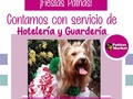 En Patitas ya nos estamos preparando... 🇵🇦  Y si necesitas salir en estas fiestas patrias y no tienes con quien dejar a tu mascota, #patitasmarke con servicio de hotelería y guardería 🙋‍♀️🐾🐾  🐾🐾Escribenos al 6117-3841📲 🐾PATITAS MARKET🐾 Av. Ricardo J Alfaro Plaza Verona . Local N°1 Planta baja.🐾 🐱🐶😍😍😍 🐾El Mundo de los Salchichas🐾  #patitasmarket #patitas #dog #veterinaria #transporte #guarderia #hotelcanino #mascotas #peluqueriacanina #transportecanino #tramitesviajeros #Pets #Cats #Dogs #dogsofinstagram #catsofinstagram #dashchund #dashchundsofinstagram #dashchundlove #puppylove