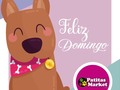Feliz Domingo🐾🐶  ¡Los esperamos!💖  🐾🐾Escribenos al 6117-3841📲 🐾PATITAS MARKET🐾 Av. Ricardo J Alfaro Plaza Verona . Local N°1 Planta baja.🐾 🐱🐶😍😍😍 🐾El Mundo de los Salchichas🐾  #patitasmarket #patitas #dog #veterinaria #transporte #guarderia #hotelcanino #mascotas #peluqueriacanina #transportecanino #tramitesviajeros #Pets #Cats #Dogs #dogsofinstagram #catsofinstagram #dashchund #dashchundsofinstagram #dashchundlove #puppylove