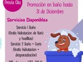 📢 Nueva promoción a la vista🐶  Servicio 1 Baño y te obsequiamos la hidratación de nariz y huellitas.  Servicio 2 Baño + Corte y te obsequiamos hidratación más desparasitación.  Y si aún no formas parte de nuestros #patitaslovers por ser nuevo miembro te obsequiamos una hidratación en nuestros servicios🐶🐾❤  Contáctanos al whatsapp y agenda ya su cita📱✅  🐾🐾Escribenos al 6117-3841📲 🐾PATITAS MARKET🐾 Av. Ricardo J Alfaro Plaza Verona . Local N°1 Planta baja.🐾 🐱🐶😍😍😍 🐾El Mundo de los Salchichas🐾  #patitasmarket #patitas #dog #veterinaria #transporte #guarderia #hotelcanino #mascotas #peluqueriacanina #transportecanino #tramitesviajeros #Pets #Cats #Dogs #dogsofinstagram #catsofinstagram #dashchund #dashchundsofinstagram #dashchundlove #puppylove