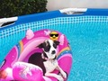 Participante #5 Loly #ConcursoDeVerano  Cuantos me gusta le regalan🐶🐶