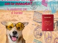 Tramitamos el viaje de tu peludo🐶🙌🧳  *Para toda América los que requerimos es:* ☆ Cartilla de vacunas actualizadas. ☆ Desparasitación interna (toma oral) y externa (bravecto, nexgard o pipeta) actualizadas (guardar cajetas para el lote y vencimiento) ☆ Pasaporte de la persona que viaja con la mascota ☆ Dirección en Panamá y de destino final. ☆☆ Tiempo del trámite 5 a 10 días anticipados. ☆☆☆ Esto incluye: - certificado de salud firmado por médico veterinario idóneo. - apostillaje - copias pertinentes - entrega en local   *Para Europa adicional de lo anterior se solicita:* ☆ Titulo de Anticuerpo de rabia (mínimo 2 a 4 meses antes del viaje). Costo desde B/. 400.00 ☆☆ Tiempo del trámite, contemplanto el titulaje serian 5 meses antes. ☆☆☆ Esto incluye: - certificado de salud firmado por médico veterinario idóneo en Inglés y español. - certificado de unión europea en Inglés y español - apostillaje - copias pertinentes - entrega en local