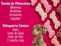 En #patitasmarke con variedad en nuestro servicio🐾🐶  Visítarnos y brindale el mejor servicio a tu peludo🐶🐶  🐾🐾Escribenos al 6117-3841📲 🐾PATITAS MARKET🐾 Av. Ricardo J Alfaro Plaza Verona . Local N°1 Planta baja.🐾 🐱🐶😍😍😍 🐾El Mundo de los Salchichas🐾  #patitasmarket #patitas #dog #veterinaria #transporte #guarderia #hotelcanino #mascotas #peluqueriacanina #transportecanino #tramitesviajeros #Pets #Cats #Dogs #dogsofinstagram #catsofinstagram #dashchund #dashchundsofinstagram #dashchundlove #puppylove