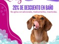 Ahora todos los Lunes... Aprovecha el 20% de descuento en baño.🙌🐶  RESERVA YA el cupo de tu peludo🐾 y dale ese regalo del día de san valentín   🐾🐾Escribenos al 6117-3841📲 🐾PATITAS MARKET🐾 Av. Ricardo J Alfaro Plaza Verona . Local N°1 Planta baja.🐾 🐱🐶😍😍😍 🐾El Mundo de los Salchichas🐾  #patitasmarket #patitas #dog #veterinaria #transporte #guarderia #hotelcanino #mascotas #peluqueriacanina #transportecanino #tramitesviajeros #Pets #Cats #Dogs #dogsofinstagram #catsofinstagram #dashchund #dashchundsofinstagram #dashchundlove #puppylove