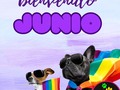 JUNIO🐕🐶