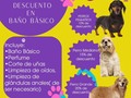 PROMOCIÓN DE BAÑO  -10% Perro Pequeño -15% Perro Mediano  -20% Perro Grande  Reserva tú cita, también realizamos el Delivery contactanos al 6117-3841   @patitasmarket