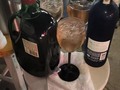 Salucita🥃