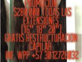 Promocion, $280.000 todas las extensiones (16" 18" 20"). Gratis restructuracion capilar. inf. Wpp +57 3012728032