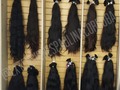 Cabello 100% humano cortado a personas, diferentes texturas y largos. Info whatsapp +573012728032