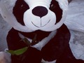 Es muy muy lindo este panda 😍😍😍