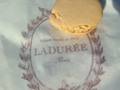 A macaron from Laduree, Paris