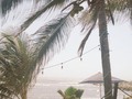 🌊
