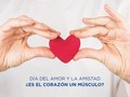 Hoy es el día del amor, donde nuestros corazones se alegran por el regalo de la amistad de nuestros seres queridos.  Pero, ¿Sabías qué el corazón es un músculo? El miocardio es el tejido muscular del corazón, encargado de bombear la sangre por el sistema circulatorio mediante su contracción. El miocardio esta formado por cardiomiocitos individuales, pero que en su función actúan como un sincitio (célula con varios núcleos resultante de la fusión de varias células)  #fisiosalinas #corazon #diadelamorylaamistad #diadesanvalentin #heart