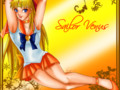 Sailor Venus Flower Frame