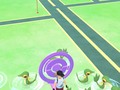 WHY ARE THERE SO MANY SNIVYS AT Starbucks??!! #PokemonGo