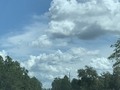 I see Pokémon in the clouds!