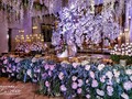 Especialistas en crear, transformar, idear y soñar contigo tus eventos✨ . . 📷 @rafaelescobargutierrez  . . Mas información escríbenos por DM o por WHATSAPP 📞3183476710