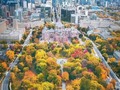 Toronto, Canadá 🇨🇦  📸 @sweet_taylor777  #photography #droneoftheday #dronephoto #drones #dronelife #drone