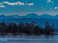 Images from my 2 days in Zürich back in February    If you would care to see them all in full screen glory pop over to to check them out    #switzerland #zurich #travelphotos #city_captures #city_explorer #europetravel #swiss_views #chrislordnyc #pixielatedpixels #chrislord #travelphotographer #creativeimagery #zürich #artphotography #traveladdict #travelgram #world_explorer #worldtraveller #visitswitzerland #streetsofzurich #bestcityshots #best_swiss_photos #unlimitedcities #cityfeature #citytripping #city_shots #swissdelights — view on Instagram