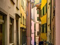Images from my 2 days in Zürich back in February    If you would care to see them all in full screen glory pop over to to check them out    #switzerland #zurich #travelphotos #city_captures #city_explorer #europetravel #swiss_views #chrislordnyc #pixielatedpixels #chrislord #travelphotographer #creativeimagery #zürich #artphotography #traveladdict #travelgram #world_explorer #worldtraveller #visitswitzerland #streetsofzurich #bestcityshots #best_swiss_photos #unlimitedcities #cityfeature #citytripping #city_shots #swissdelights — view on Instagram