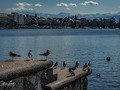Images from my 2 days in Zürich back in February    If you would care to see them all in full screen glory pop over to to check them out    #switzerland #zurich #travelphotos #city_captures #city_explorer #europetravel #swiss_views #chrislordnyc #pixielatedpixels #chrislord #travelphotographer #creativeimagery #zürich #artphotography #traveladdict #travelgram #world_explorer #worldtraveller #visitswitzerland #streetsofzurich #bestcityshots #best_swiss_photos #unlimitedcities #cityfeature #citytripping #city_shots #swissdelights — view on Instagram