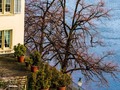 Images from my 2 days in Zürich back in February    If you would care to see them all in full screen glory pop over to to check them out    #switzerland #zurich #travelphotos #city_captures #city_explorer #europetravel #swiss_views #chrislordnyc #pixielatedpixels #chrislord #travelphotographer #creativeimagery #zürich #artphotography #traveladdict #travelgram #world_explorer #worldtraveller #visitswitzerland #streetsofzurich #bestcityshots #best_swiss_photos #unlimitedcities #cityfeature #citytripping #city_shots #swissdelights — view on Instagram